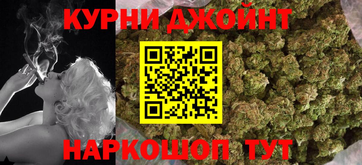 Бошки Шишки гибрид Александров